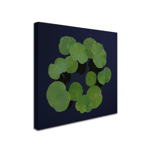 Kurt Shaffer 'Giant Lily Pad Abstract' Canvas Art,14x14